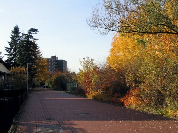 Herbstimpressionen_60.jpg