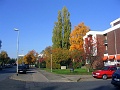 Herbstimpressionen_02
