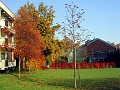Herbstimpressionen_03