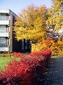 Herbstimpressionen_04