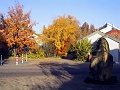 Herbstimpressionen_05