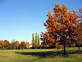 Herbstimpressionen_07