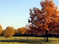 Herbstimpressionen_08