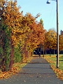 Herbstimpressionen_10
