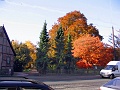Herbstimpressionen_12