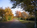 Herbstimpressionen_14