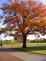 Herbstimpressionen_15