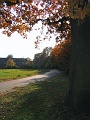 Herbstimpressionen_16