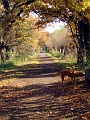 Herbstimpressionen_17