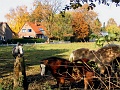 Herbstimpressionen_19