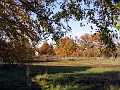 Herbstimpressionen_23