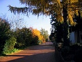 Herbstimpressionen_24
