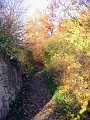 Herbstimpressionen_25