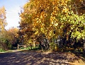 Herbstimpressionen_27