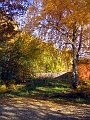 Herbstimpressionen_28