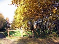 Herbstimpressionen_29