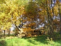 Herbstimpressionen_30
