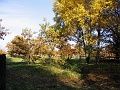 Herbstimpressionen_31