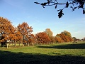 Herbstimpressionen_33