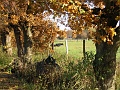 Herbstimpressionen_34