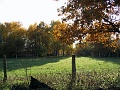 Herbstimpressionen_35