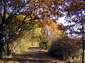 Herbstimpressionen_37