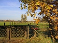 Herbstimpressionen_40