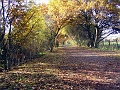 Herbstimpressionen_41
