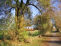 Herbstimpressionen_43