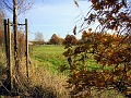 Herbstimpressionen_45