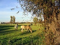 Herbstimpressionen_47