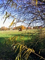 Herbstimpressionen_48