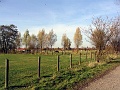 Herbstimpressionen_49