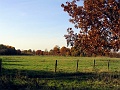 Herbstimpressionen_50
