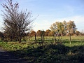 Herbstimpressionen_52