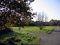 Herbstimpressionen_53