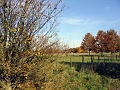 Herbstimpressionen_54
