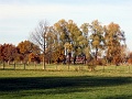 Herbstimpressionen_55