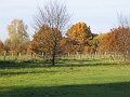 Herbstimpressionen_57