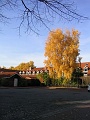 Herbstimpressionen_58