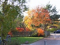 Herbstimpressionen_59