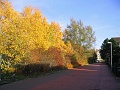 Herbstimpressionen_61